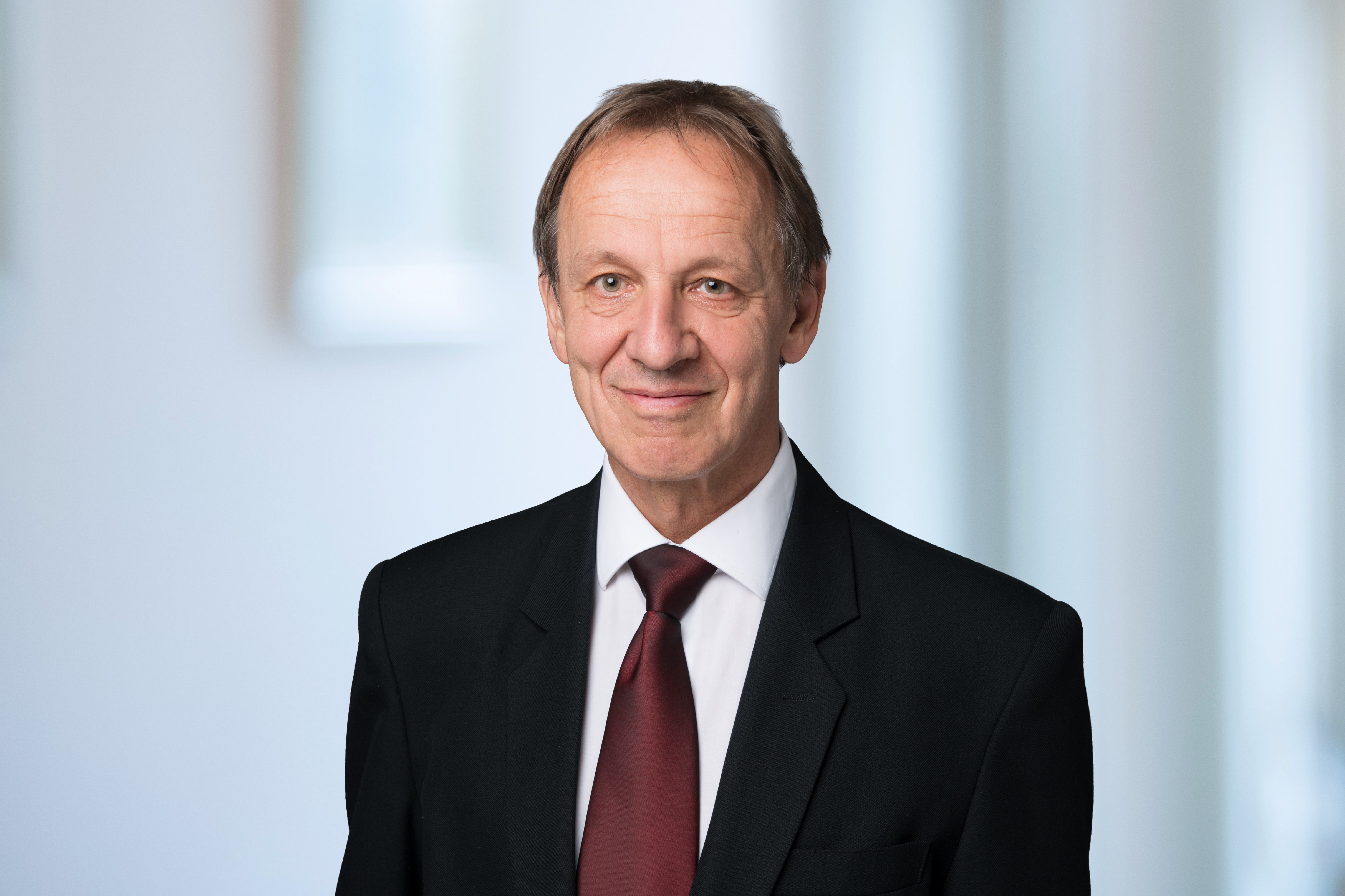 Hans-Peter Hubmann Senior Consultant